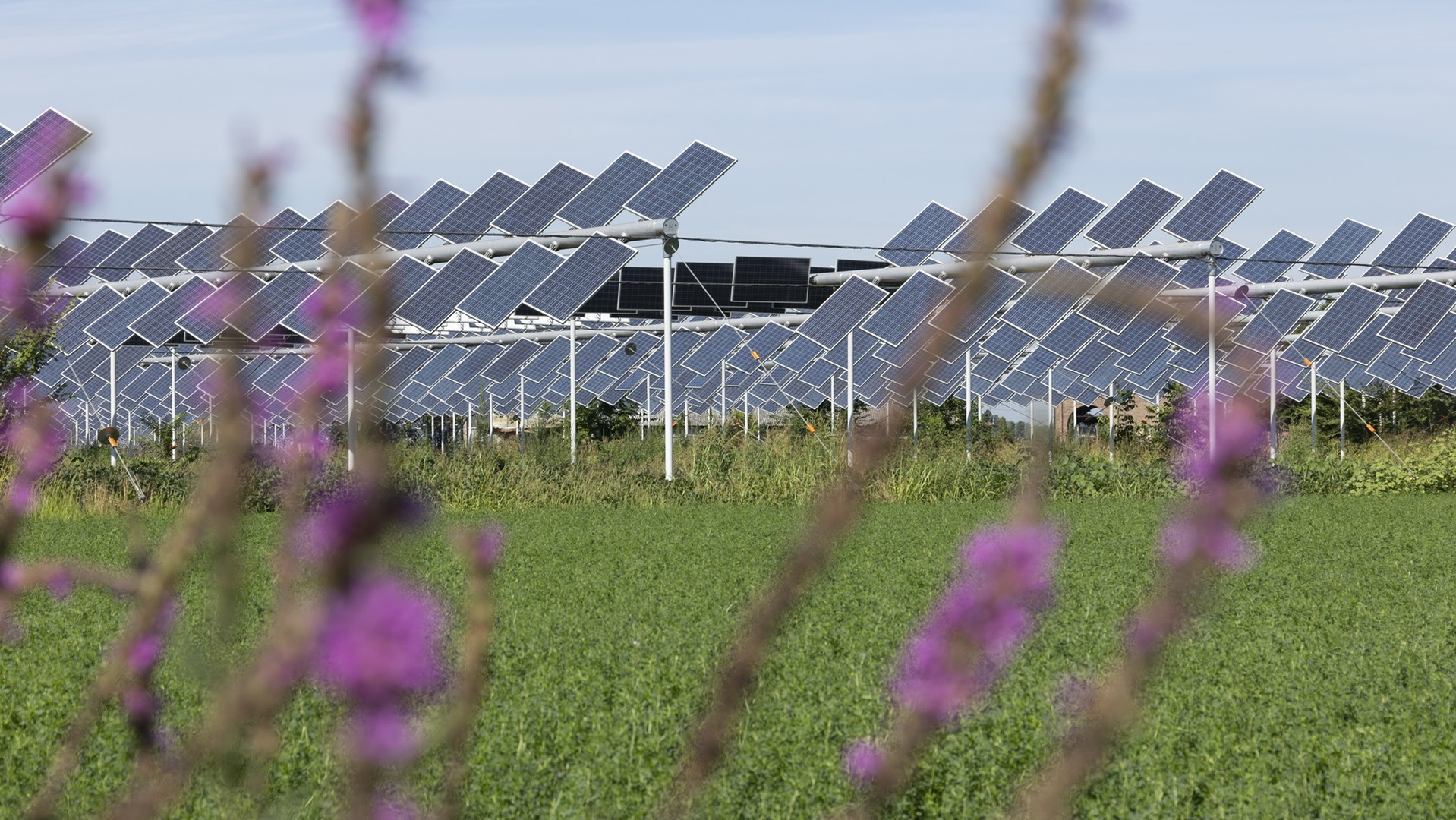 Solar Magazine – L’Italia offre 1,7 miliardi di euro di sussidi per il fotovoltaico agricolo
