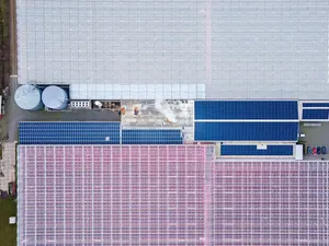 HG Energiesystemen plaatst batterijen en zonnepanelen bij Belt Tomaten en Vereijken Kwekerijen