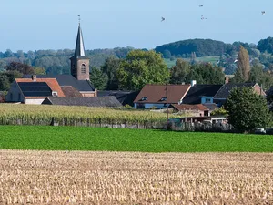 VNR: noodknop voor uitzetten zonnepanelen nog niet nodig in Vlaanderen