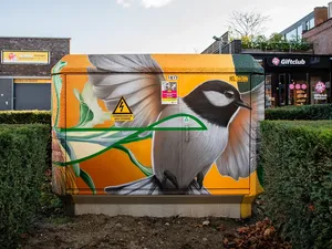 Netbeheerders gaan dit najaar vrijgekomen capaciteit op stroomnet verdelen