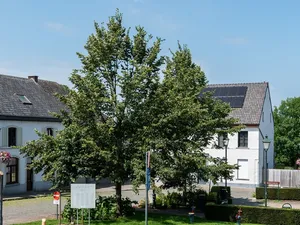 De harde cijfers | Vlaamse zonnepaneelmarkt doet het beter dan de voorlopige data laten zien