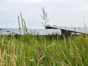 Faillissement dreigt voor coöperatieve zonneparken, oproep voor tijdelijk noodfonds