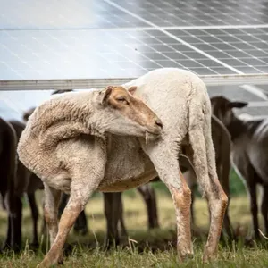 Zonopnaam Energie-afbeelding