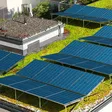 GreenRoof Vento — afbeelding 2